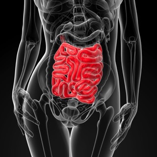 10 things that can cause leaky gut and wreck your health